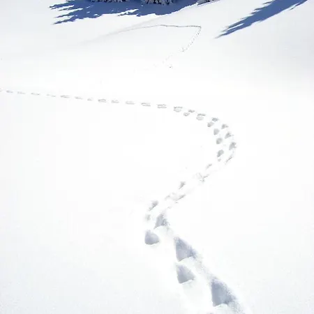La Croix De Savoie & 4* Les Carroz d'Araches