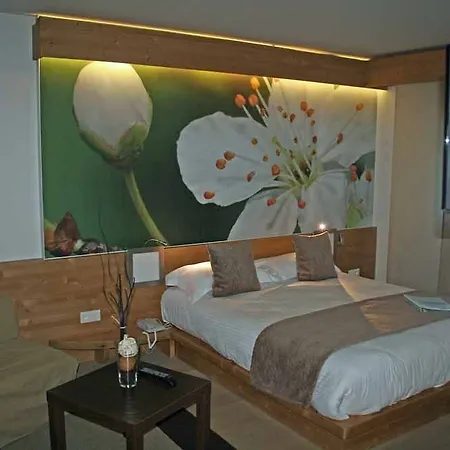 Hotel La Croix De Savoie&spa 4*